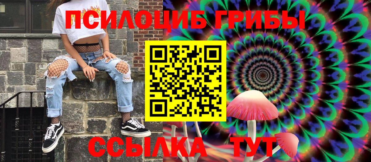 Сергиев Посад  Псилоцибиновые грибы Cubensis  Вход с VPN 